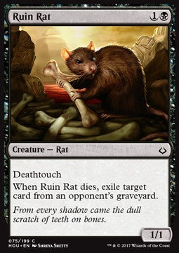 Ruin Rat - Hour of Devastation (Common) [HOU-75]